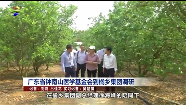 （视频）广东省钟南山医学基金会到橘乡集团