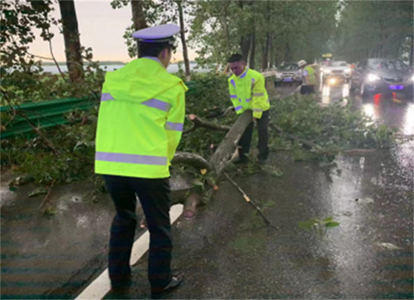 大树折断阻国道，湖北公安县交警冒雨清理保