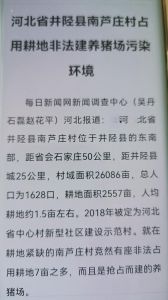 河北省井陉县南芦庄村占用耕地非法建养猪场，污染环境。